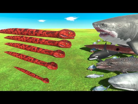 Titanoboa is Growing VS ALL Aquatics - Animal Revolt Battle Simulator