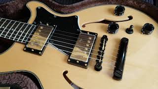 Video thumbnail for Seventy Seven Albatross Jazz by The Guitar Den