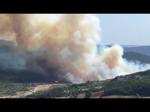 Incendio a Lagoni Rossi (Pomarance) 3 agosto 2017