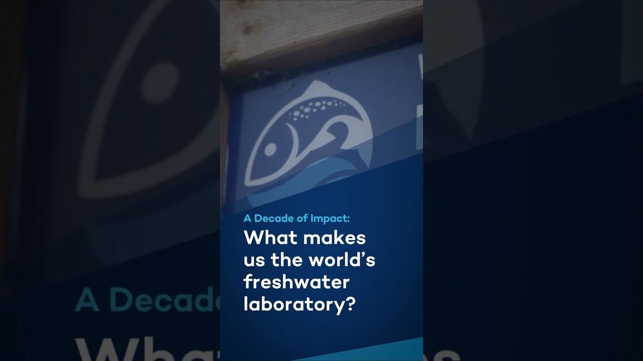 🐟 What is the Experimental Lakes Area? #Science #EnvironmentalScience