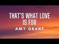 Amy Grant - That's What Love Is For (Lyrics)