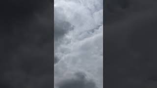 令和8年7月8日(水)#夏日