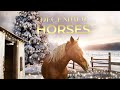 December Horses 2024 Full Movie Christmas Family Drama