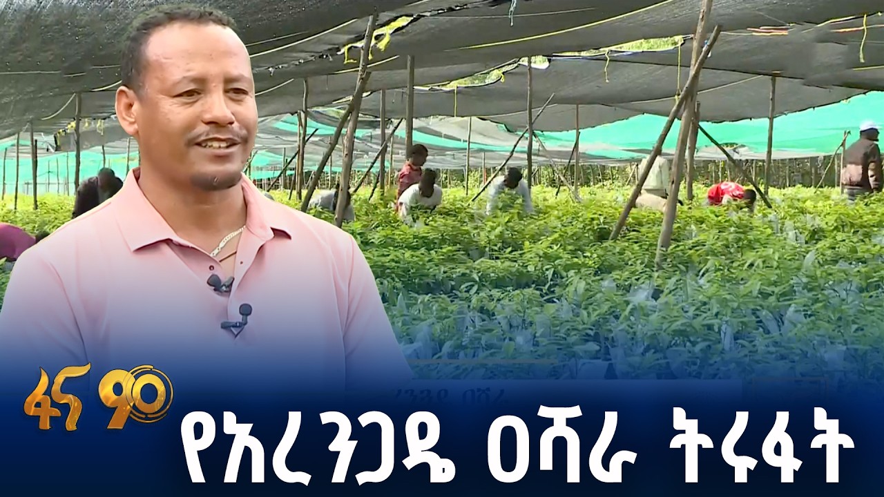የችግኝ ጣቢያዎች መስፋፋት የፈጠረው የሥራ ዕድል