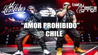 Baby Rasta y Gringo - Amor Prohibido - Chile 2014