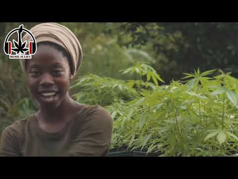 Hempress Divine & Juba feat. Muscle - A Million Ways