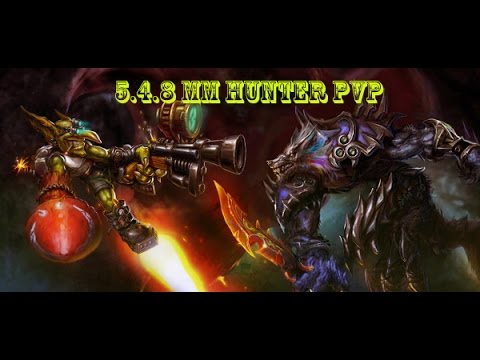 5.4.8 MM Hunter pvp -MM Hunter resto druid 2v2