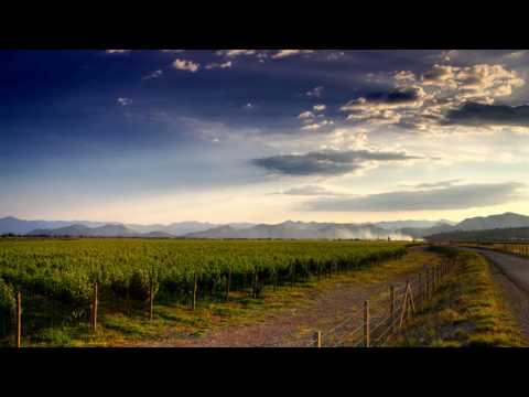 Ferry Tayle ft. Manuel Le Saux - Rome Airport (Manuel Le Saux At The End Remix)