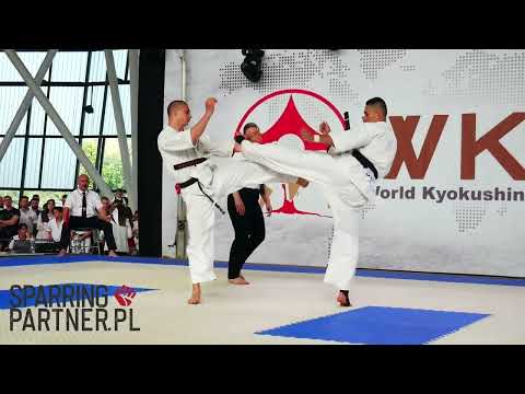 Mykhailo Drahan vs Simion Robert 1/2 Final man -70kg The 6th WKB European Kyokushin Championships