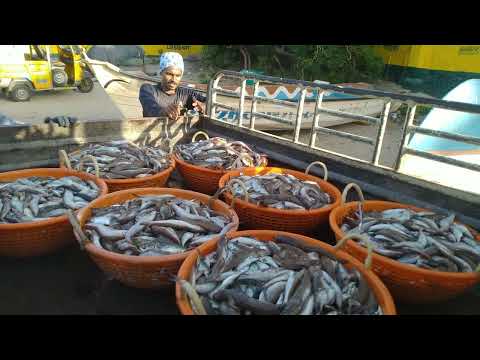 Mercado de peixes de Kanyakumari