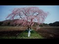 唾奇 Kohjiya PAGE ONE Music Video