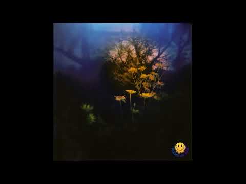 04 - Aspect's Mess - Grunt Flipper