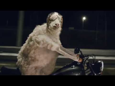 VW Polo Werbung   Schäfchen Zählen   Müdigkeitserkennung