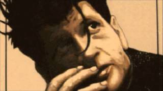 Herman Brood - Rock N Roll Junkie