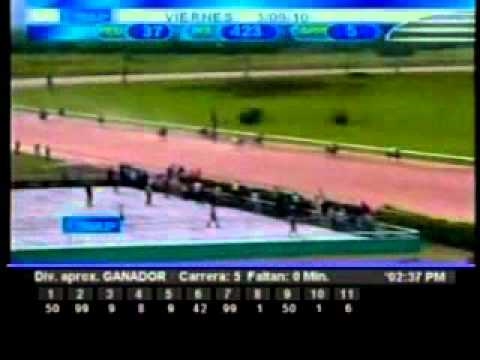 Resumen Viernes, 03 de Septiembre de 2010 - Valencia