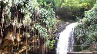 preview picture of video 'Annandale Waterfalls, grenada.MOV'