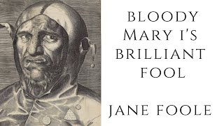 Bloody Mary I's BRILLIANT Fool   Jane Foole