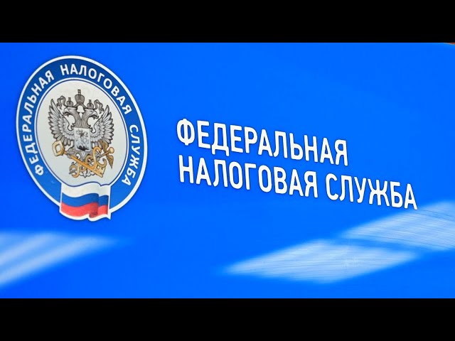 Плати налоги в срок!