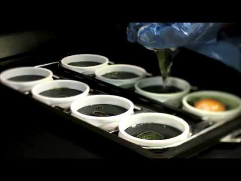 Why are the eggs in your Egg McMuffins so perfectly round? They don't look natural.