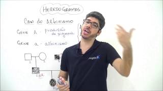 X da Questão Biologia Heredogramas Caso do Albinismo Parte 2