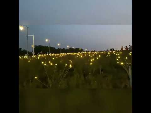 Декоративний садовий світильник Світлячки 10LED на сонячній батареї