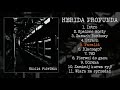 Herida Profunda S T LP FULL ALBUM 2013 Crust Punk Grindcore