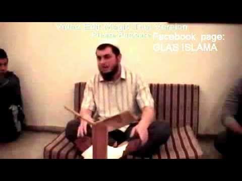 Hfz. Prof. Dževad Gološ - O televiziji.flv