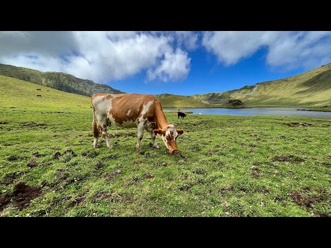 Corvo - the smallest island of the Azores