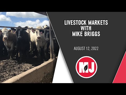 Livestock Markets | Mike Briggs | August 12, 2022