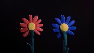 "BLOOM" - A sexual assault short film