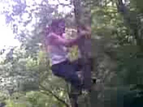 Mugelvideos - La Scimmia