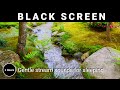 Gentle stream sounds for sleeping - Black Screen