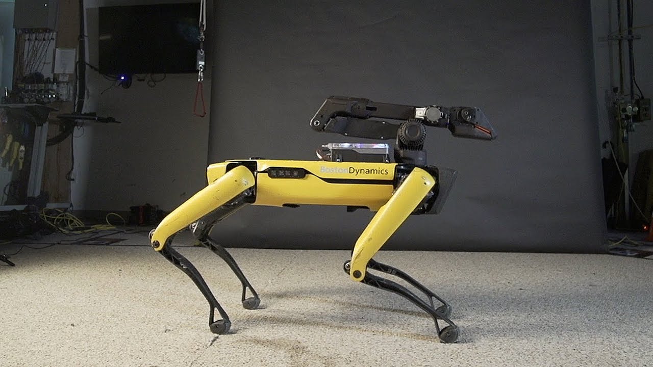 Šokantis keturkojis robotas parketo karaliumi. Šių judesių pavydės daugelis profesionalų