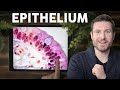 Epithelial Tissue Histology Explained For Beginners Corporis