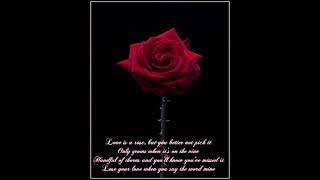 Love Is A Rose - Linda Ronstadt
