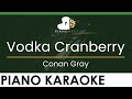 Conan Gray Vodka Cranberry LOWER Key Piano Karaoke Instrumental
