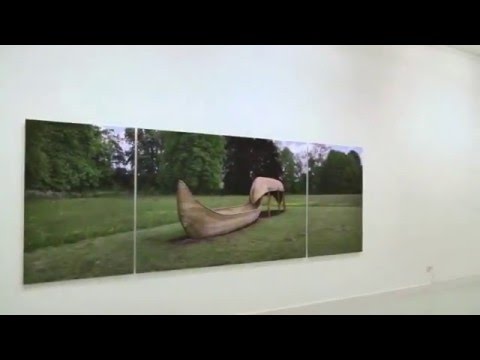 Lieux d'être(s) François Méchain, Lannion, 2015