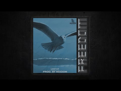[FREE] LOOP KIT / SAMPLE PACK 2020 - "Freedom" (Trap Guitar, Piano, Bells)