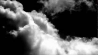 The Field - Then It's White