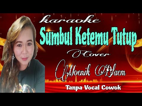 SUMBUL KETEMU TUTUP KARAOKE Tanpa Vocal Cowok Cover Moenik Blaem Tarling