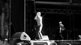 Iggy and The Stooges - Passenger - 06.08.2013 - Zitadelle Spandau