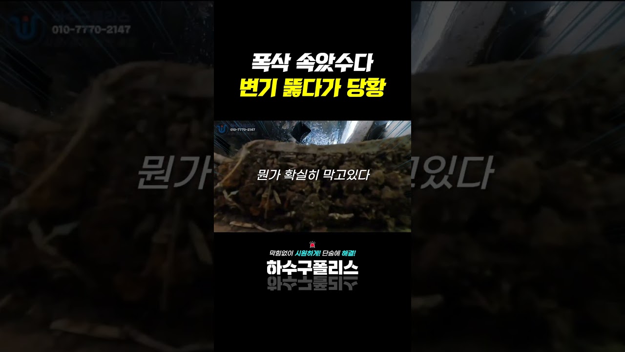 사장님을 당황시킨 변기 속 이것의 정체