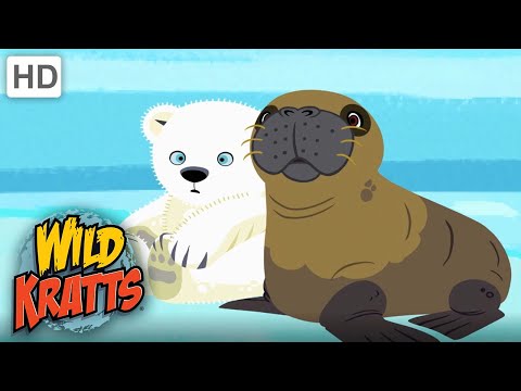 Wild Kratts | Polar Bears Don't Dance | Full Episode | Season 1