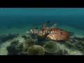 Aquanaut 39 s Holiday: Hidden Memories Hd Trailer ps3