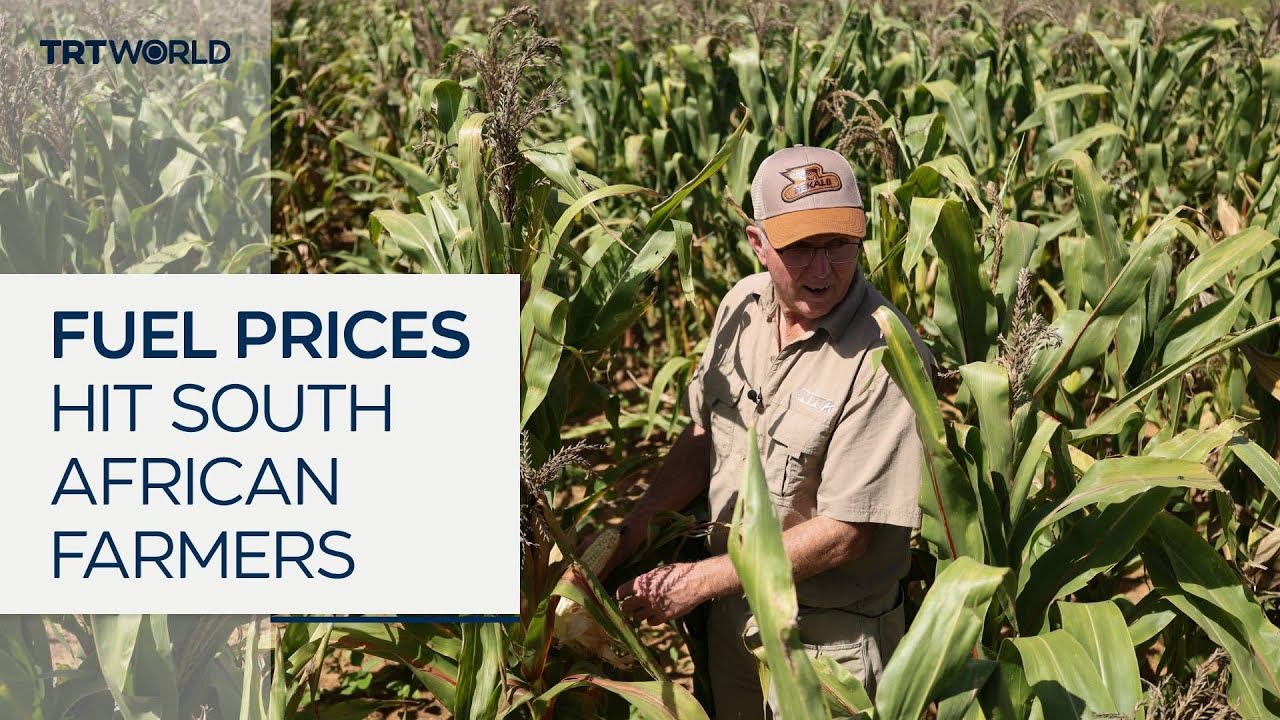 Rising fuel prices threaten South Africa’s harvest season