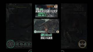 【MHWilds】深追いアンチ【モンハンワイルズ】