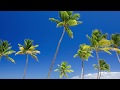 Relaxing music, Instrumental Music, Peaceful Music "Tropical Sunrise' by Tim Janis