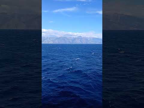 #europa #galeradotrecho #rondônia #vilhena #vidadecaminhoneiro #grecia #viral #viralvideo