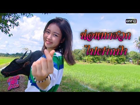 ห่อหมกฮวกไปฝากป้า - หวานใจ สาวน้อยบ้านนา | สาวน้อยร้อยล้านวิว | one31