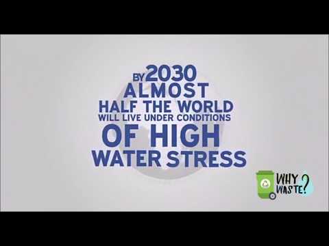 Why Waste? Garvita Gulhati Doing Her Bit For World Environment Day